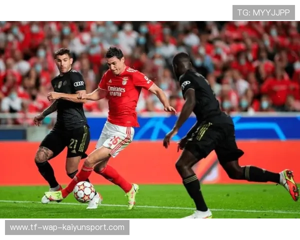 本菲卡球队纪律性强，赛场执行力高